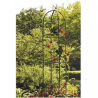 Kinzo Colonne de roses de jardin - Vert 185x40cm