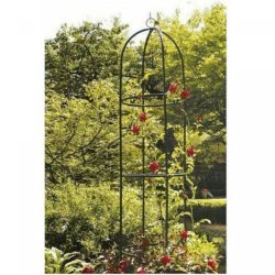 Kinzo Colonne de roses de jardin - Vert 185x40cm