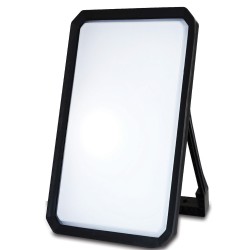 Projecteur LED de chantier 50W 4500 lm I-Watts Pro