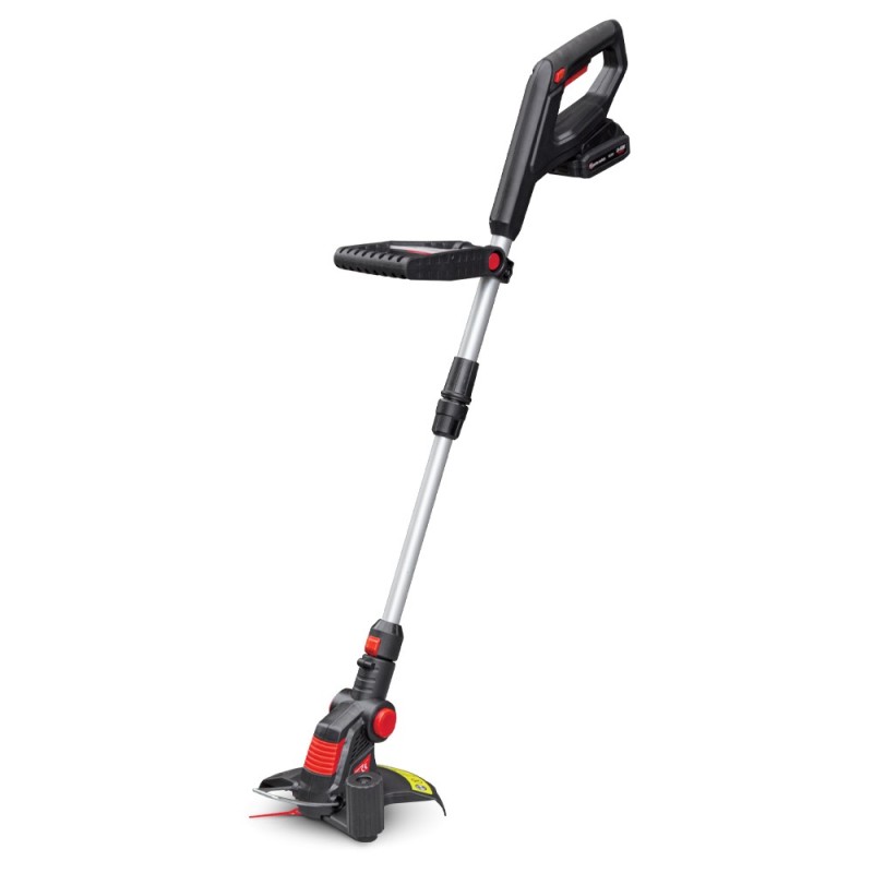 COUPE BORD.20V 25CM BAT LIT 2AMP CH.RAP.