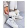 bottes de neige