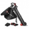 Aspirateur souffleur broyeur rechargeable 2x20V livré avec batteries et chargeur