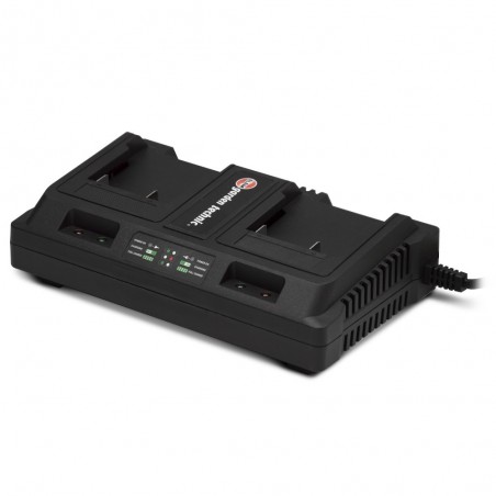 Chargeur double pour batteries 20V lithium