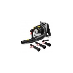 Souffleur thermique dorsal 26CC + Acc corniche