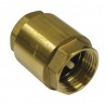 Clapet de non-retour 1 - Master Pumps