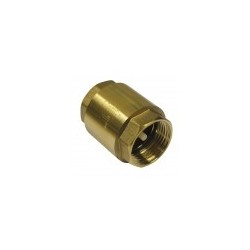 Clapet de non-retour 1 - Master Pumps
